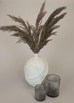 DROOGBLOEMEN MET LUXE WITTE VAAS –  Pampas pluimen gras met vaas - Droogbloemen boeket met witte vaas – Gedroogde bloemen inclusief witte vaas – Droogbloemen in witte vaas – Droogb
