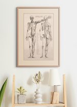 Poster In Houten Lijst - Vintage Anatomie - 70x50 cm - Hart, Spieren, Organen en Skelet