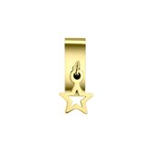 Lucardi Dames Stalen goldplated slider ster - Hanger - Staal - Goudkleurig
