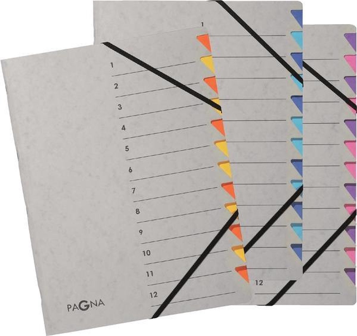 pagna-sorteermap-easy-grey-voor-ft-a4-12-vakken-rose-paars-bol