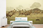 Papier peint photo en vinyle - Beaucoup de Gazelles se promenant dans les plaines d'Afrique largeur 360 cm x hauteur 240 cm - Tirage photo sur papier peint (disponible en 7 tailles)