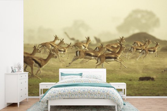 Papier peint photo en vinyle - Beaucoup de Gazelles se promenant dans les plaines d'Afrique largeur 360 cm x hauteur 240 cm - Tirage photo sur papier peint (disponible en 7 tailles)