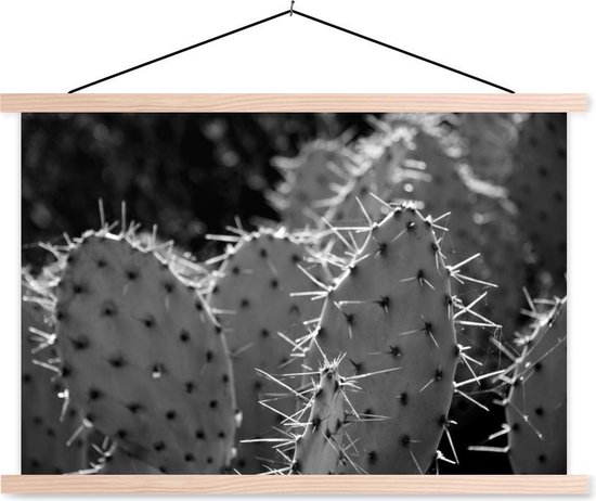 Schoolplaat - Botanical Cactus Fotoprint - zwart wit - 60x40 cm - Blanke latten