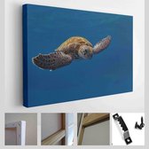 Een prachtige gigantische gouden zeeschildpad spreidt zijn poten en zwemt in de blauwe diepten van de zee - Modern Art Canvas - Horizontaal - 1928584418