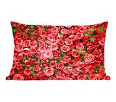 Sierkussen' intérieur Roses rouges - Champ de roses rouges - 50x30 cm - Coussin intérieur rectangulaire en coton