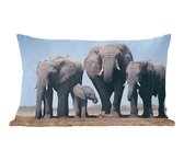 Sierkussens - Kussen - Vier olifanten onder een blauwe lucht - 50x30 cm - Kussen van katoen