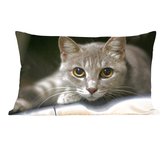 Coussins décoratifs déco - Coussin - Chat avec de grandes pupilles de près - 50x30 cm - Coussin en coton