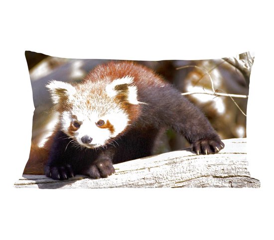 Sierkussen Rode panda voor binnen - Kleine rode panda - 50x30 cm - rechthoekig binnenkussen van katoen