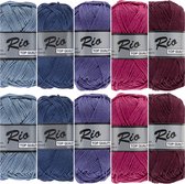 Lammy yarns Rio katoen garen pakket - roze paars blauw - 10 bollen