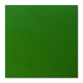 Plakfolie- Kleeffolie -  Fluweel Uni groen  45cmx1m
