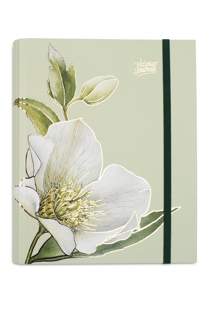 Plan Your Dreams | 3-in-1 Planner/dagboek - Ongedateerde Weekplanner, Takenlijst, Gelinieerd Notitieboek | Verborgen spiraal Notitieboek/Planner/To-Do List | Notitieboek/Planner met Premium Dik Papier | Verhoog Uw Productiviteit | A5 | Hardcover