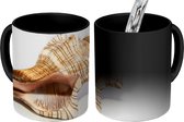 Magische Mok - Foto op Warmte Mok - Schelp - Wit - Zee - 350 ML