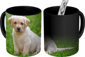 Magische Mok - Foto op Warmte Mok - Puppy zit in het gras - 350 ML