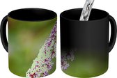 Magische Mok - Foto op Warmte Mok - Een eenzaam vlinderstruikje - 350 ML