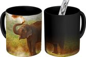 Magische Mok - Foto op Warmte Mokken - Koffiemok - Schoonmakende olifant - Magic Mok - Beker - 350 ML - Theemok
