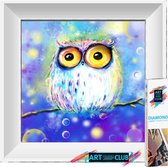 Artstudioclub®  Diamond painting volwassenen 25*25cm  uiltje