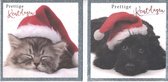 16 Luxe Kerst- en Nieuwjaarskaarten - Honden & Katten - 13x13cm - Glitters - 2 motieven - Gevouwen kaarten met enveloppen