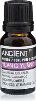 Etherische olie Ying Yang - Essentiële olie - 10ml - 100% natuurlijk - Diffuser Olie