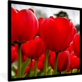Fotolijst incl. Poster - Close-up van rode tulpen - 40x40 cm - Posterlijst