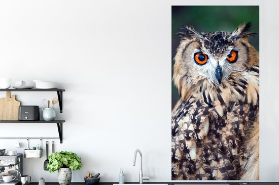 Affiche Hibou grand-duc - 75x150 cm