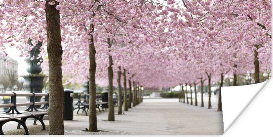 Poster Lente - Sakura - Bomen