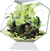 Ciano Aquarium Nexus Betta 14C Wit