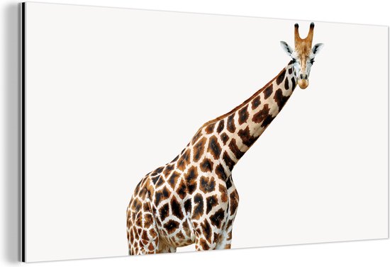 Wanddecoratie Metaal - Aluminium Schilderij Industrieel - Giraffe - Dieren - Witte achtergrond - Kinderen - Jongen - Meisje - 80x40 cm - Dibond - Foto op aluminium - Industriële muurdecoratie - Voor de woonkamer/slaapkamer