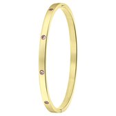 Lucardi Dames Goldplated armband bangle geboortestenen - Staal - Armband - Cadeau - Moederdag - Stijlvol - Goudkleurig