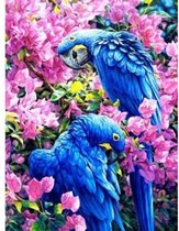 Diamond Painting - Uil - Boek- 40x50 cm - Vierkante Steentjes - Dieren - Volwassenen - Hobby - Cadeau - Moederdag - Kado