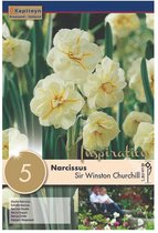 Zakje narcissenbollen - Narcissus 'Sir Winston Churchill' - lichtgele narcissen - 5 bollen