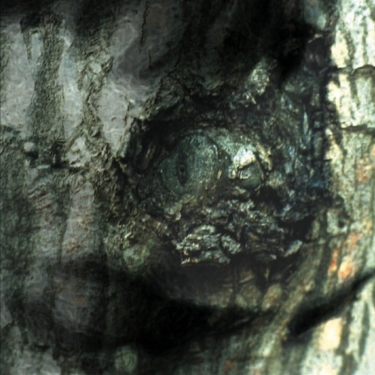 Yann Tiersen - The Waltz Of The Monsters (LP) (Remastered)