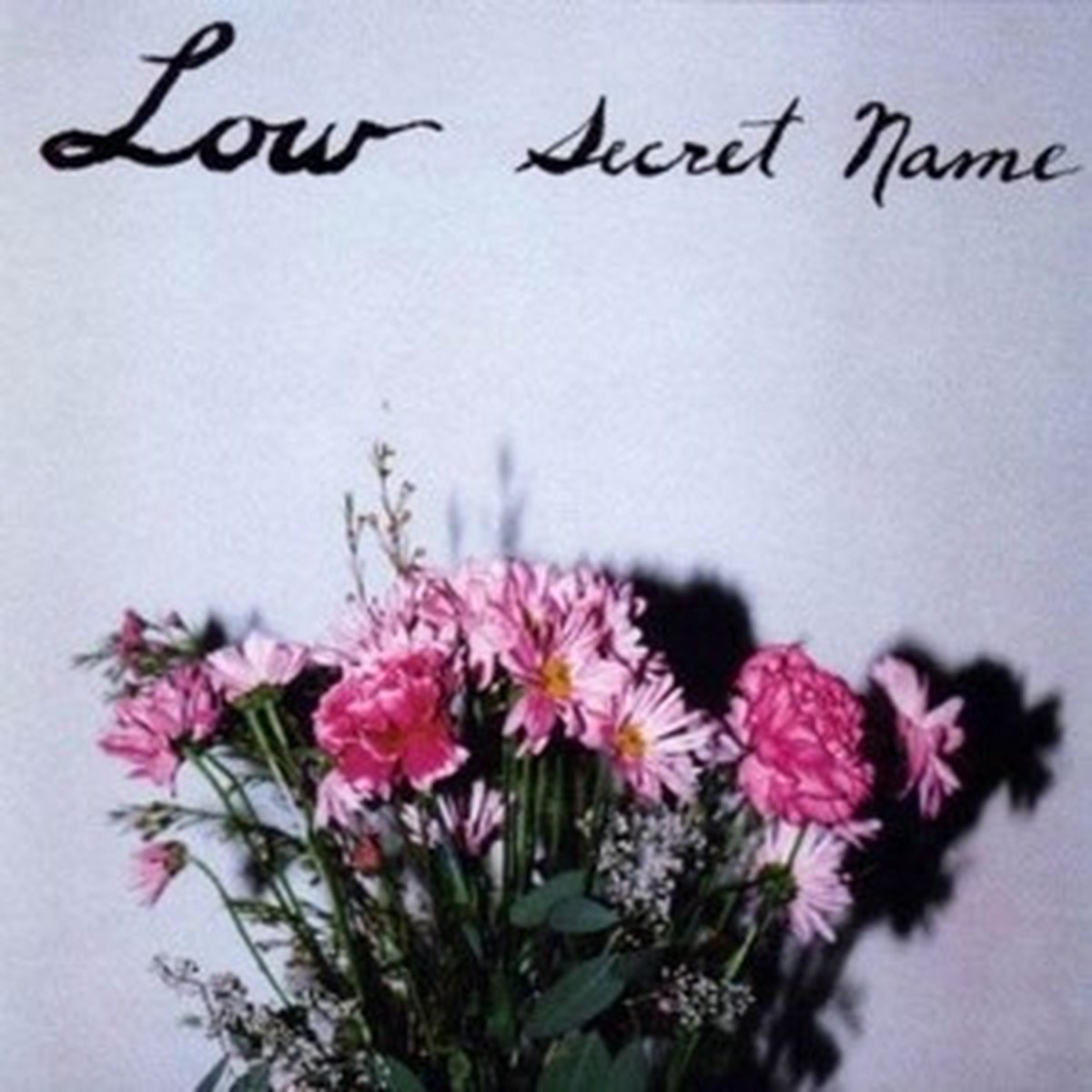 Low - Things We Lost In The Fire (2 LP), Low | Muziek | bol
