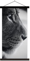 Porte-affiche avec affiche - Affiche scolaire - Lion profil animal en noir et blanc - 90x180 cm - Lattes noires