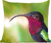 Close-up van een kolibrie met een gekromde snavel
