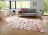 Modern vloerkleed Delio - zilver/rood 160x220 cm