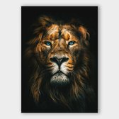 Artistic Lab Poster - Lion Dibond - 100 X 70 Cm - Multicolor