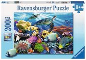 Ocean Turtles 200 Piece Puzzle