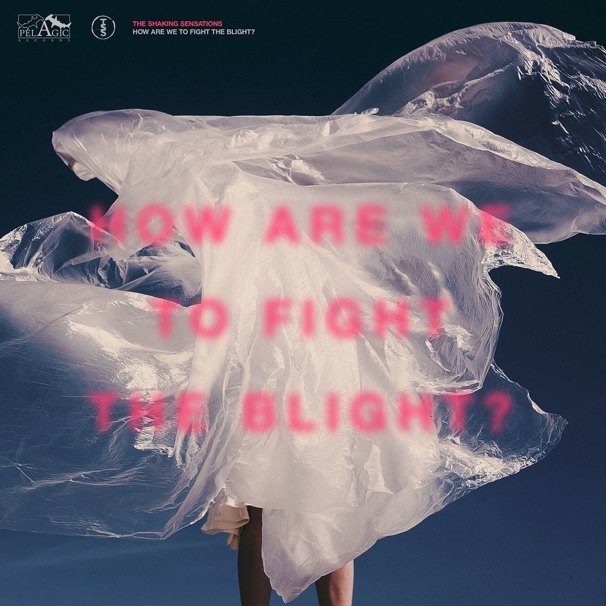 The Shaking Sensations - How Are We To Fight The Blight? (CD)