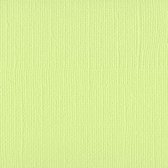 Bazzill Textuurpapier - Mono Canvas - 30.5x30.5cm - Limeade - 25 vellen