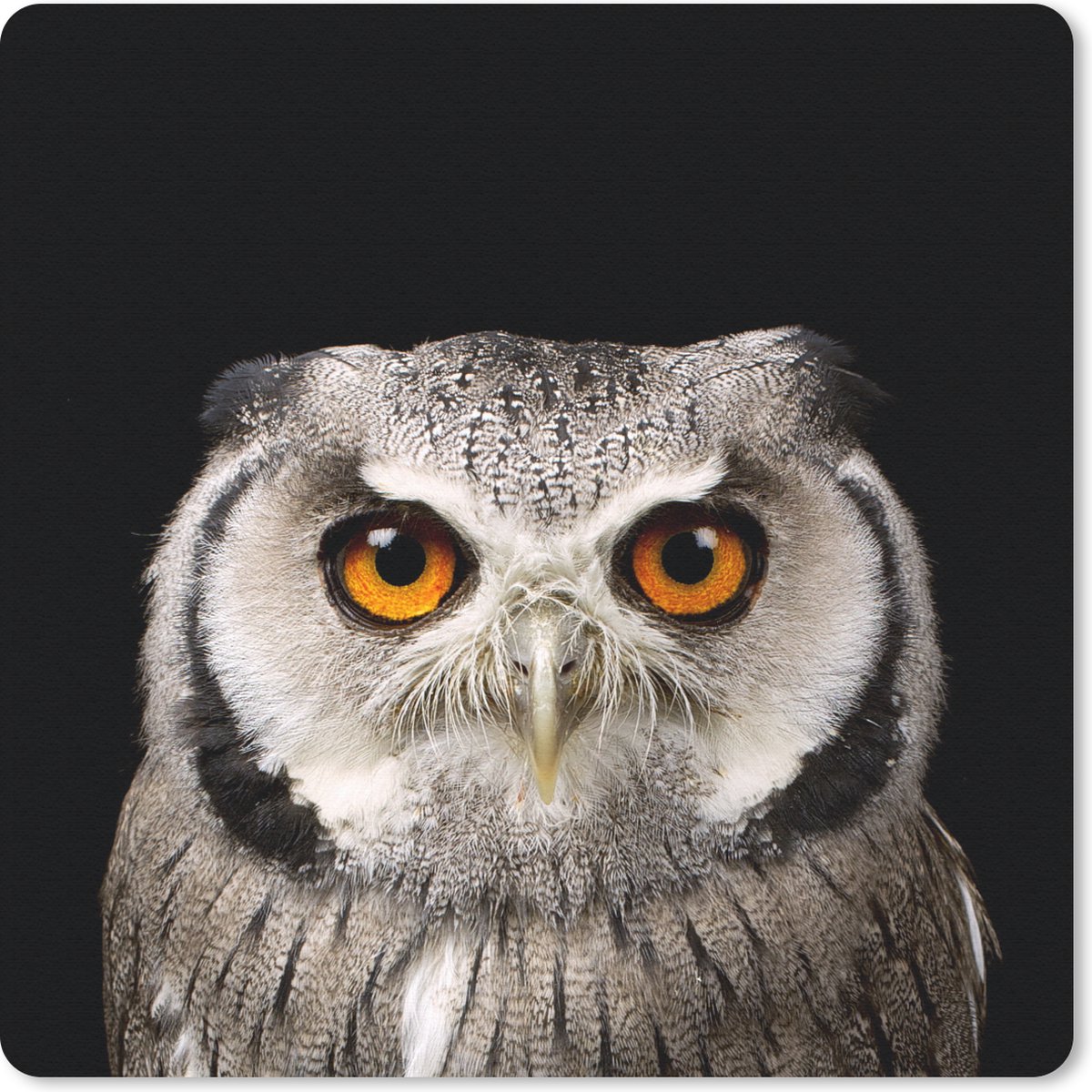 Muismat 30x30 cm - Mousepad Portret uil - Muismatten