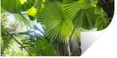 Stickers muraux - Forêt tropicale - 40x20 cm - Feuille adhésive