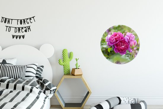 Wall Circle - Wall Circle Indoor - Des roses roses poussent à l'air libre - ⌀ 30 cm - Décoration murale - Peintures Ronds