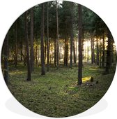 WallCircle - Wall Circle - Wall Circle Indoor - Arbre - Soleil - Herbe - 120x120 cm - Décoration murale - Peintures Ronds XXL