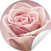 WallCircle - Stickers muraux - Cercle Papier Peint - Gouttes de Rosée Précoce sur une Rose Rose - 120x120 cm - Cercle Mural - Auto Adhésif - Sticker Rond Papier Peint XXL