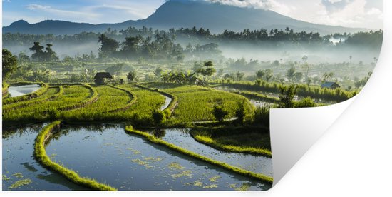 Stickers muraux - Rizières à Bali - 40x20 cm - Film adhésif