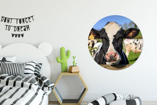 WallCircle - Cercle Mural - Cercle Mural - Vache - Clôture - Herbe - Animaux - Aluminium - Dibond - 90x90 cm - Intérieur et Extérieur
