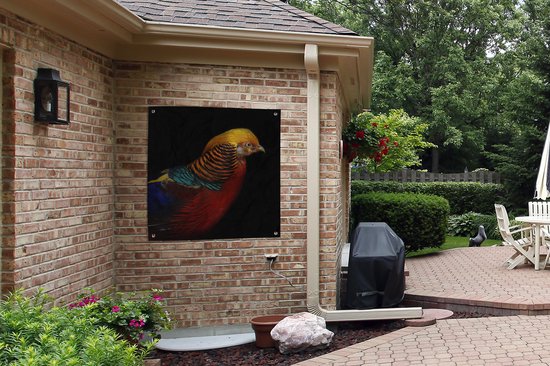 Affiche de jardin Faisan doré sur fond noir Toile en vrac 100x100 cm - Toile de jardin / Toile d'extérieur / Peintures d'extérieur (décoration de jardin)