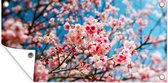 Tuinposter Lente - Sakura - Roze - 60x30 cm - Tuindoek - Buitenposter
