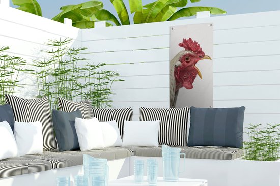 Affiche de jardin Coq - Animaux - Animaux de la ferme - Garçons - Enfants - Meiden - 30x60 cm - Toile jardin - Affiche extérieure