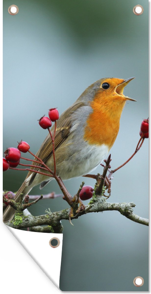 Décoration murale d'extérieur Rouge-gorge - Branche - Baies - 80x160 cm ...